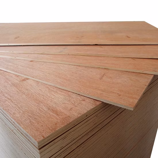 Cheap Price Commercial Plywood with Okoume, Bintangor, Red Pencil, Maple, Birch, Teak, Chinese Ash etc.