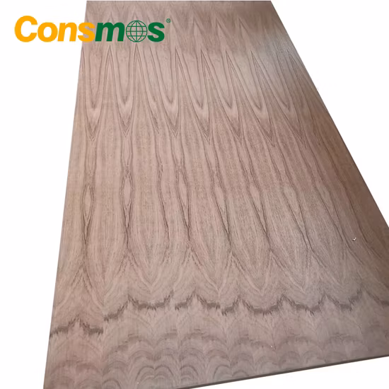 Polyester Decorative Door Skin Hardwood Melamine Paper Coted Fancy Veneer Film Faced Plywood